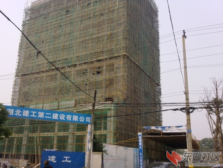 q50.jpg