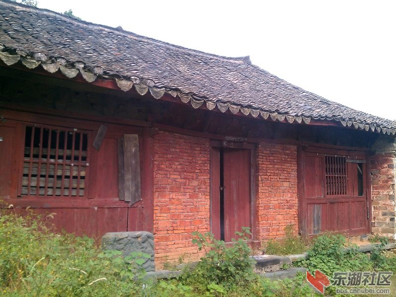 IMAG0582001.jpg