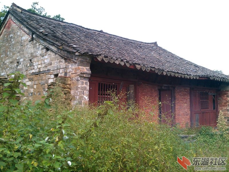 IMAG0584001.jpg