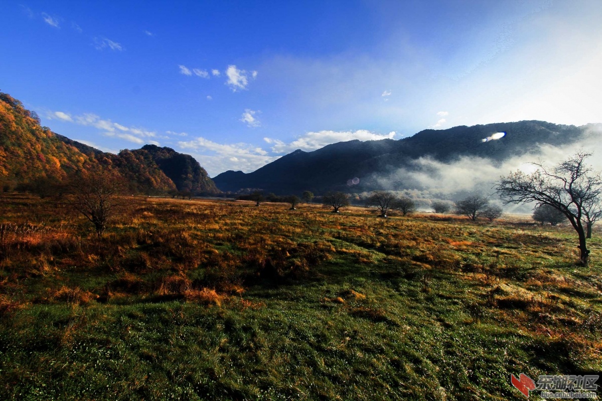 _MG_0008.JPG