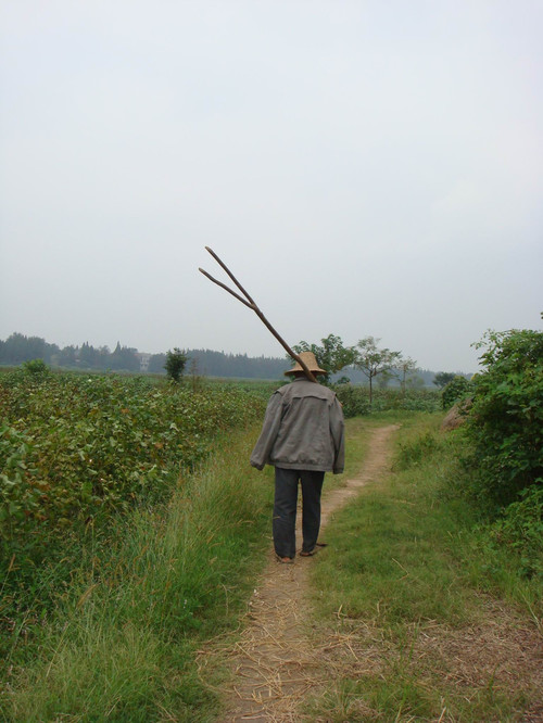 a0ca8335tcbd3de3aec5f&690.jpg