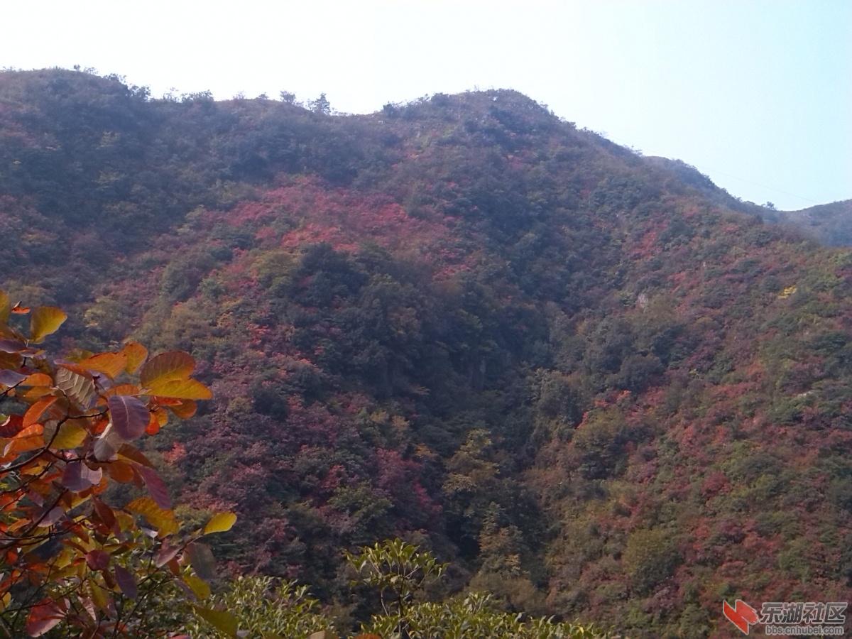 IMG_20121020_104113.jpg