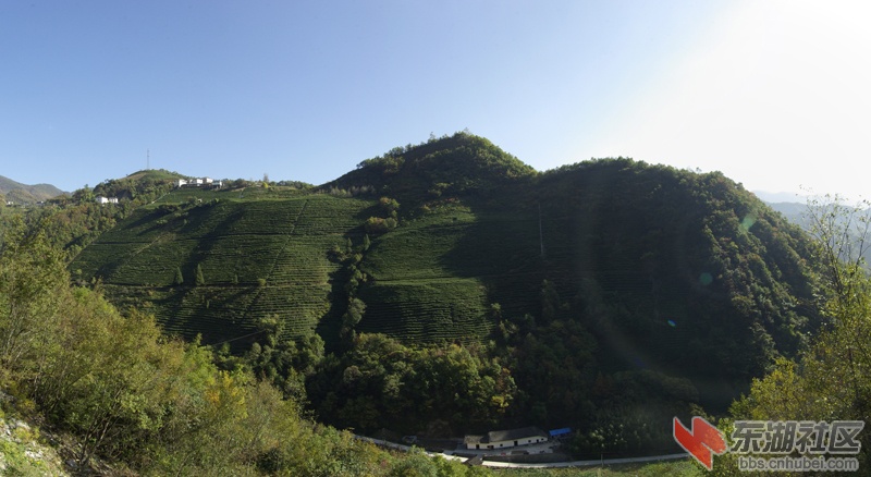 全景图001.jpg