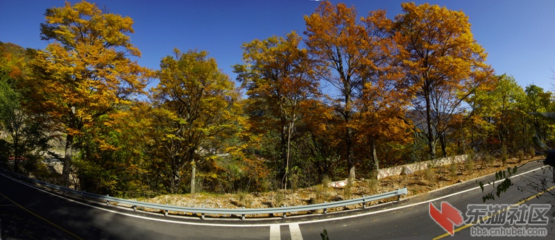 全景图004.jpg