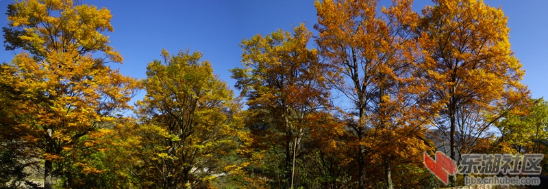全景图005.jpg