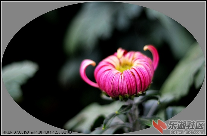 nEO_IMG_DSC_9333.jpg