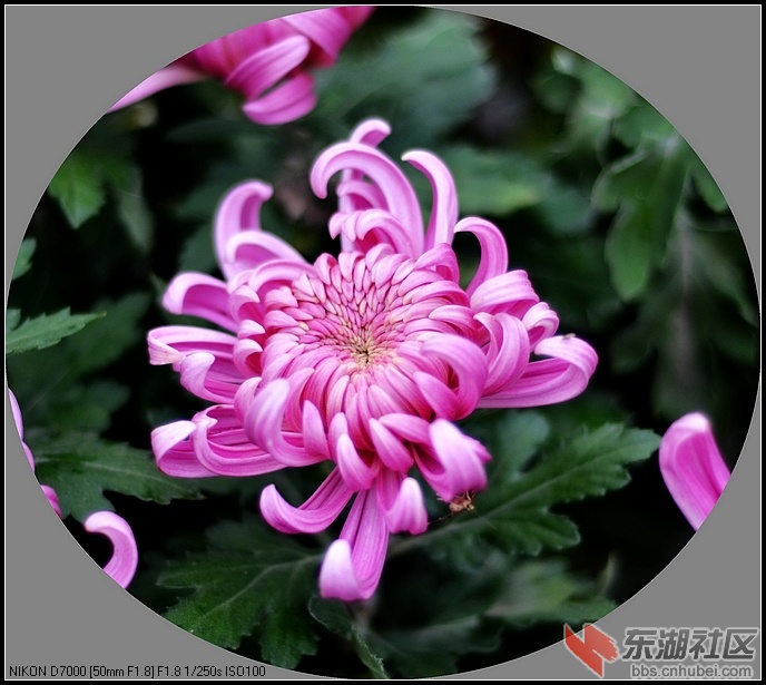 nEO_IMG_DSC_9341.jpg