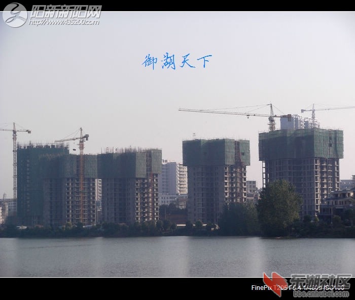 221141cpgpz3piitei93t7.jpg