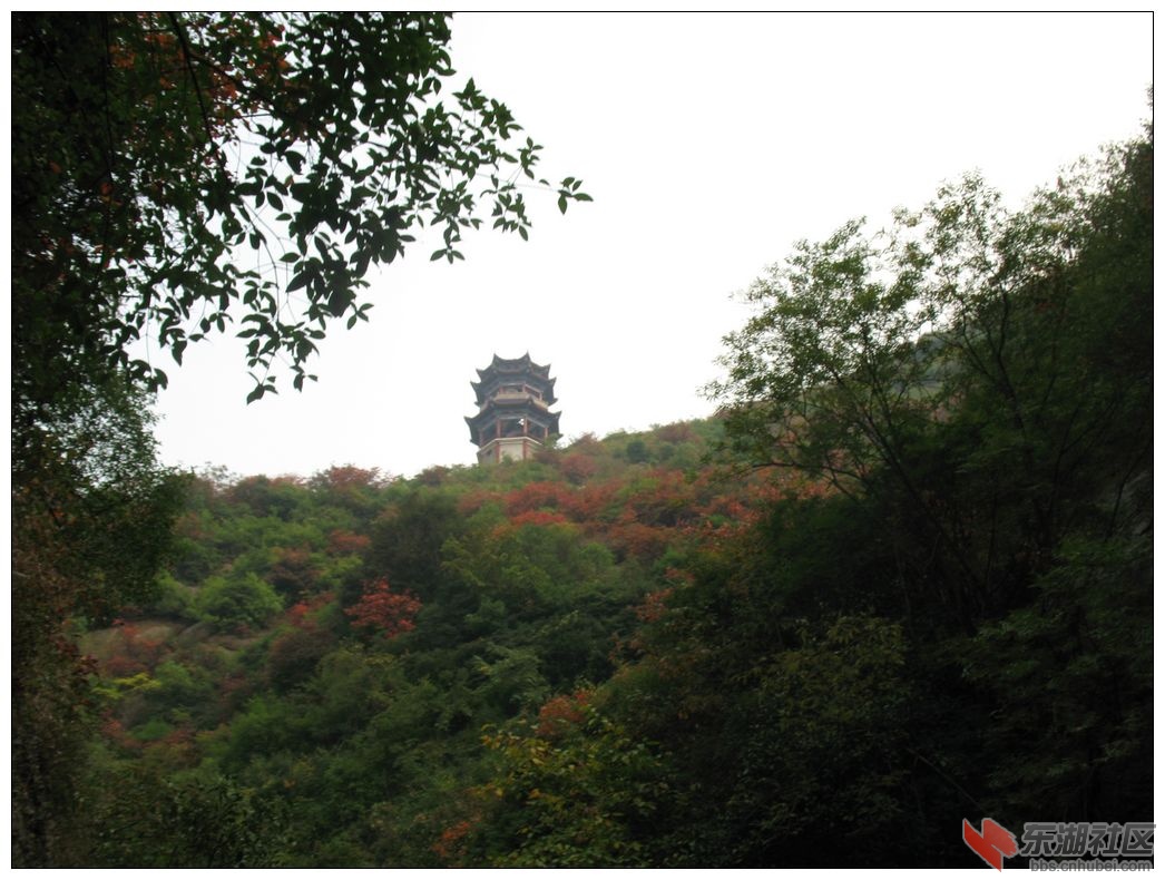 照片 038.jpg