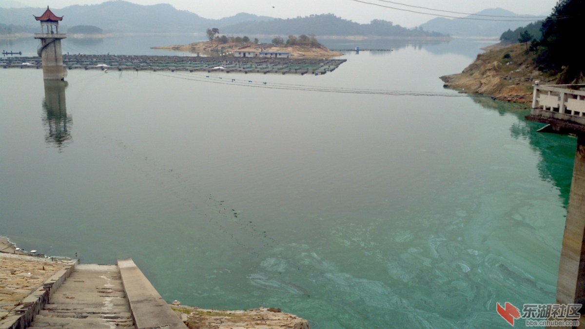 2012-10-25_14-29-54_470.jpg