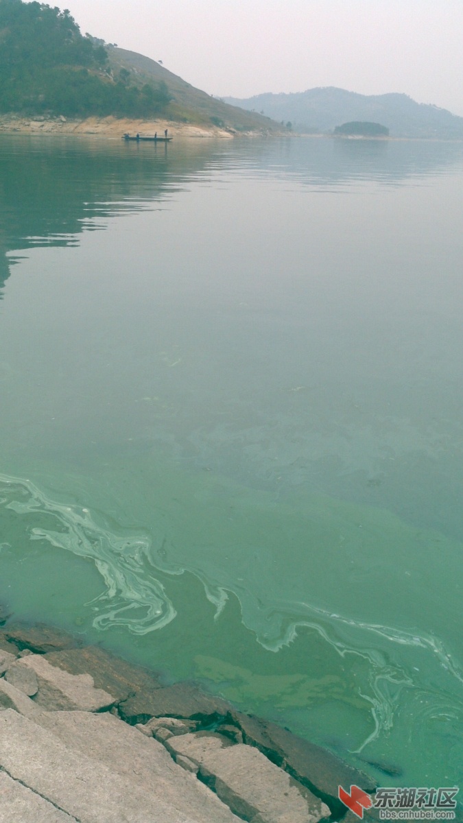 2012-10-25_14-41-31_146.jpg