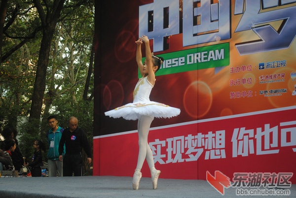 DSC_1611_1.jpg