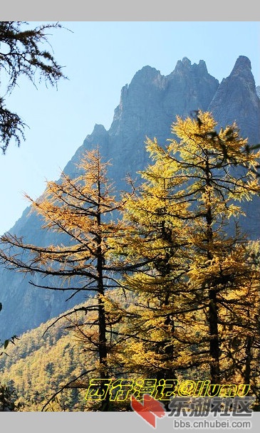 山影.jpg