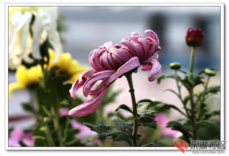 nEO_IMG_照片 1049.jpg