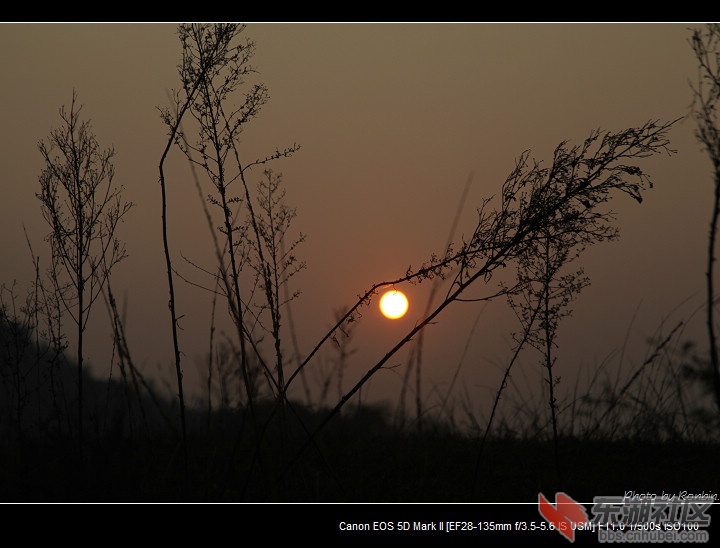 IMG_5564.jpg
