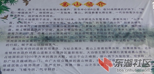 葛5.jpg