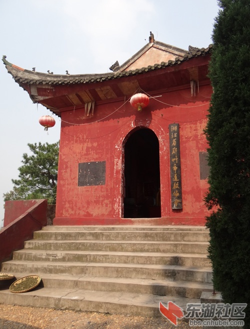 葛6.jpg