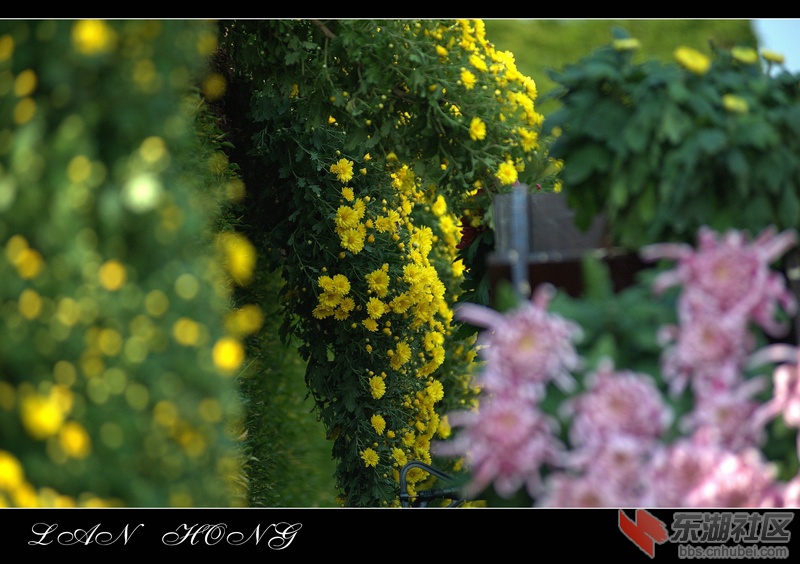 _L0H0085.NEF.jpg