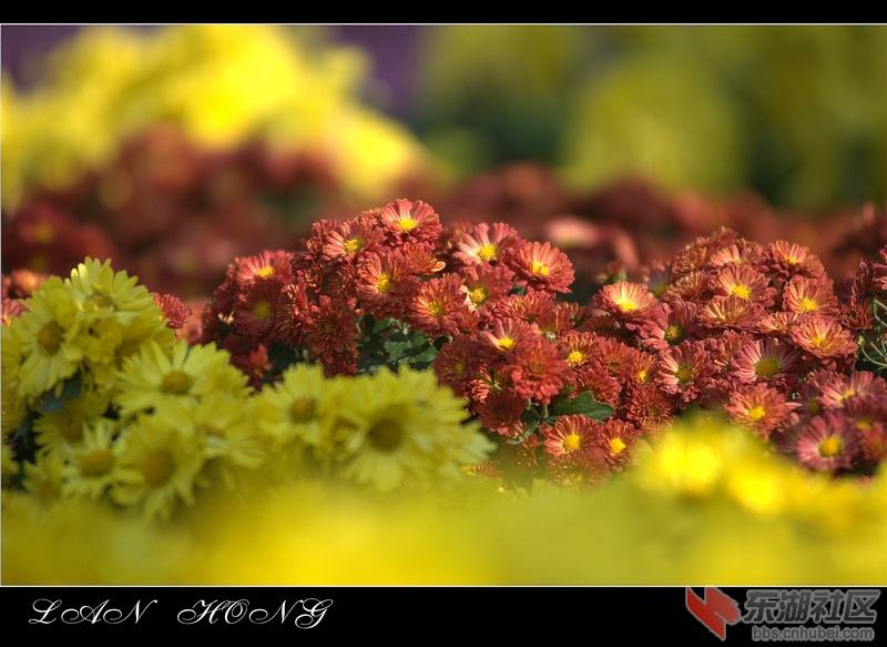 _L0H0066.NEF.jpg