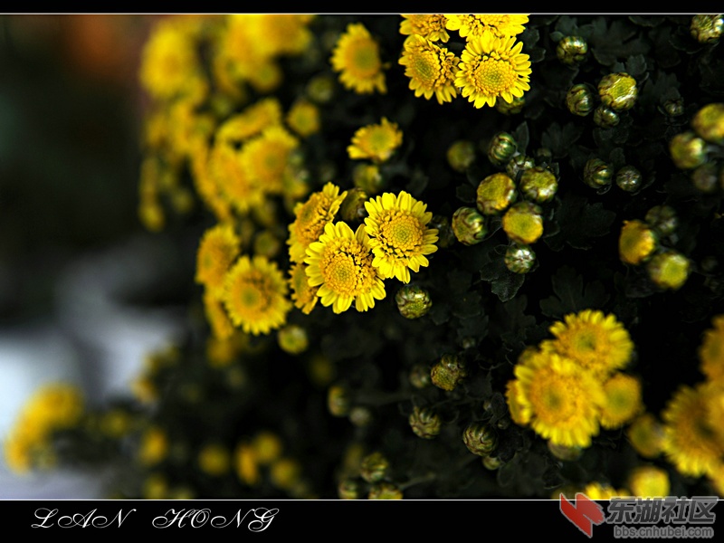 _L0H0277.jpg