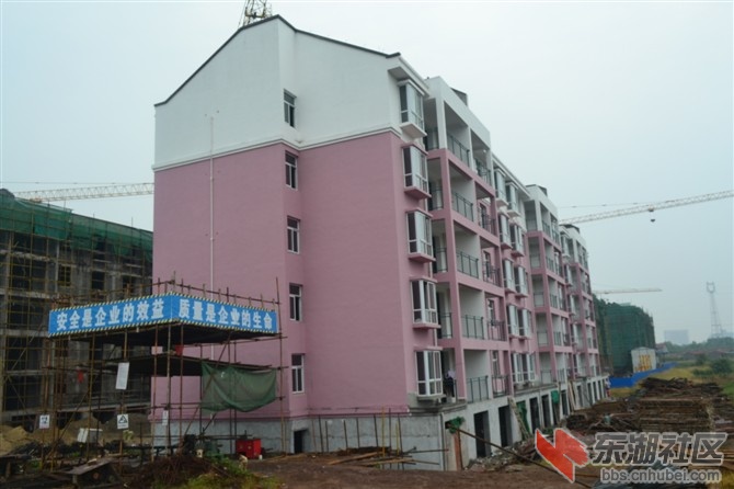 psbCA73W65D.jpg