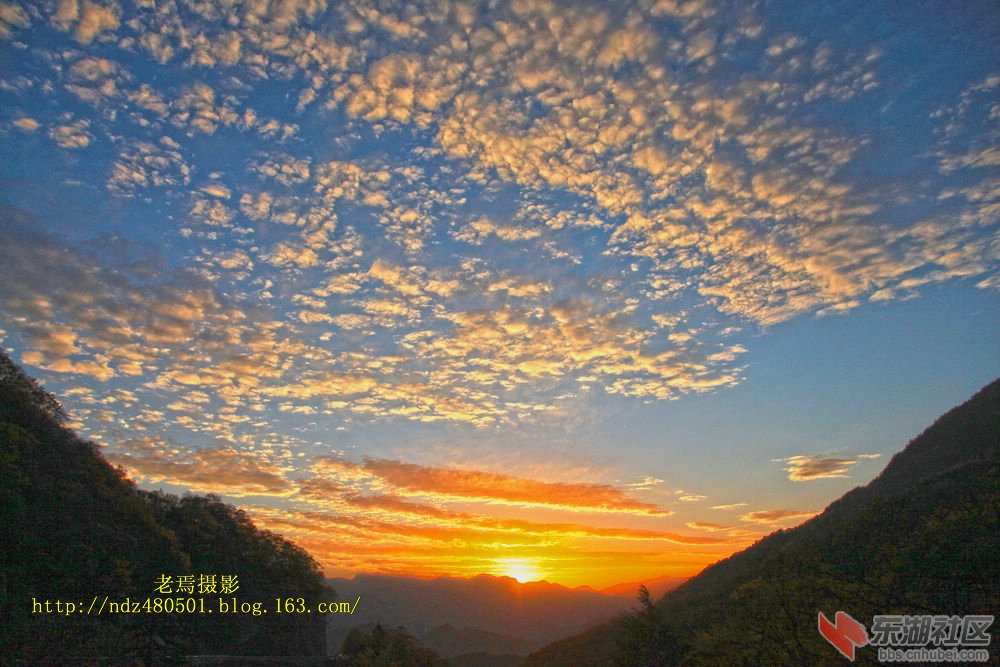 IMG_9875_副本.JPG