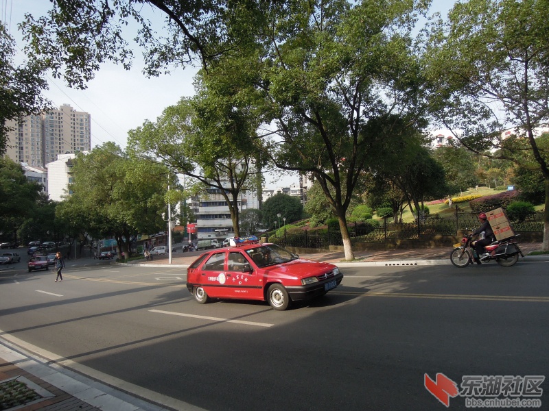 DSCN4225.jpg