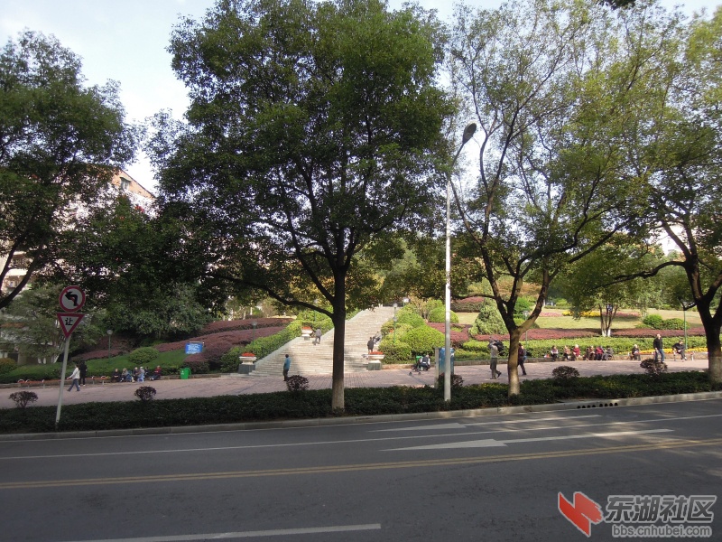DSCN4224.jpg