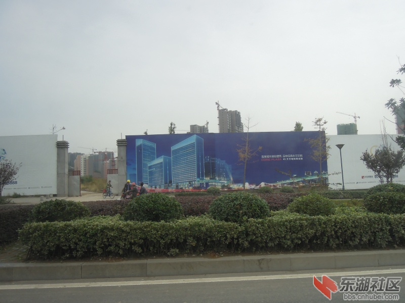 DSCN4232.jpg