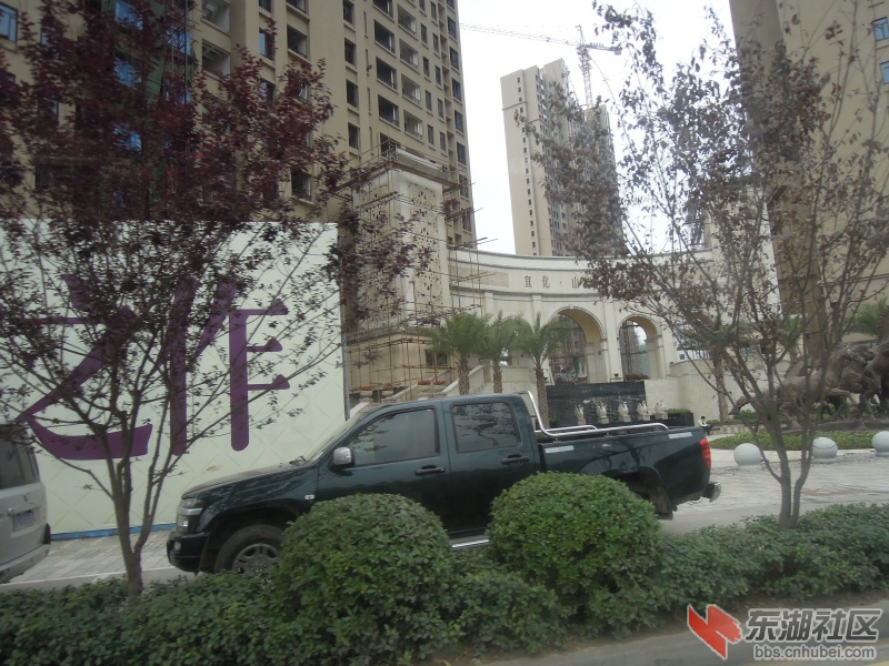 DSCN4235.jpg