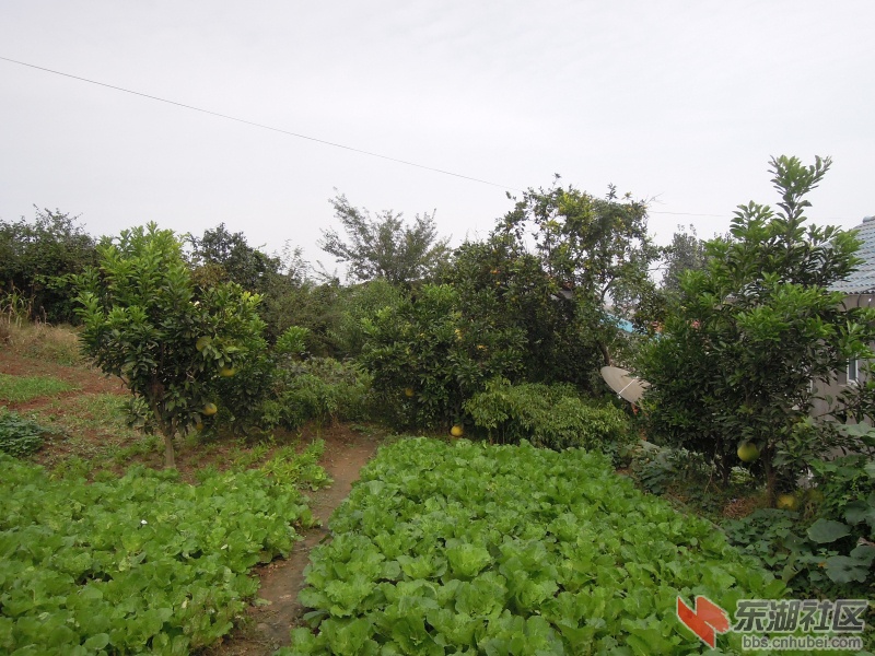 DSCN4238.jpg