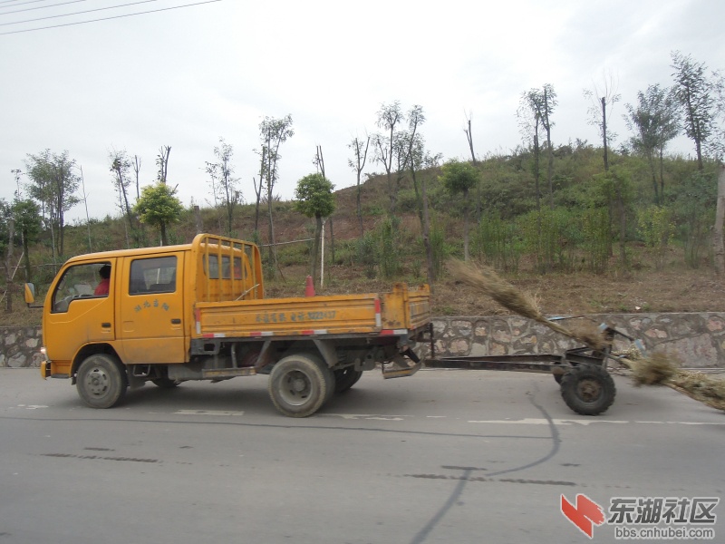 DSCN4247.jpg