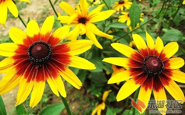 4_101008162021_1.jpg