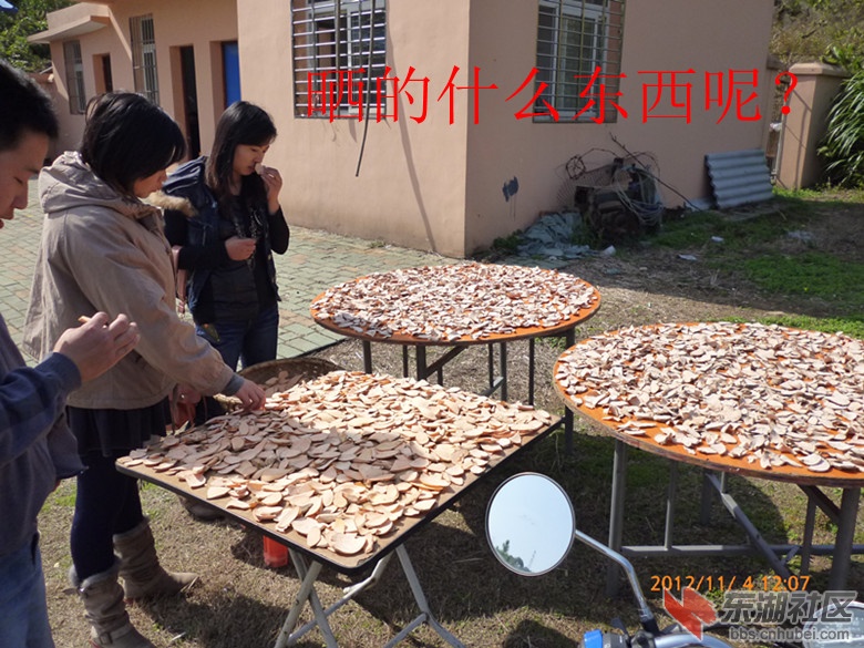 P1020037_副本.jpg