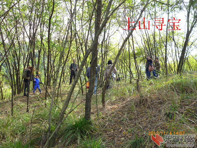 P1020071_副本.jpg