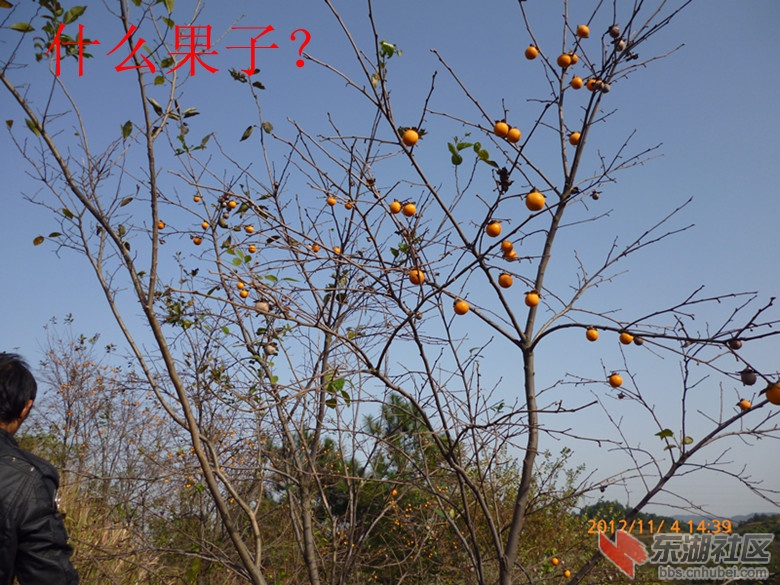 P1020099_副本.jpg