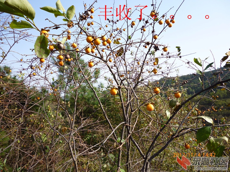 P1020102_副本.jpg