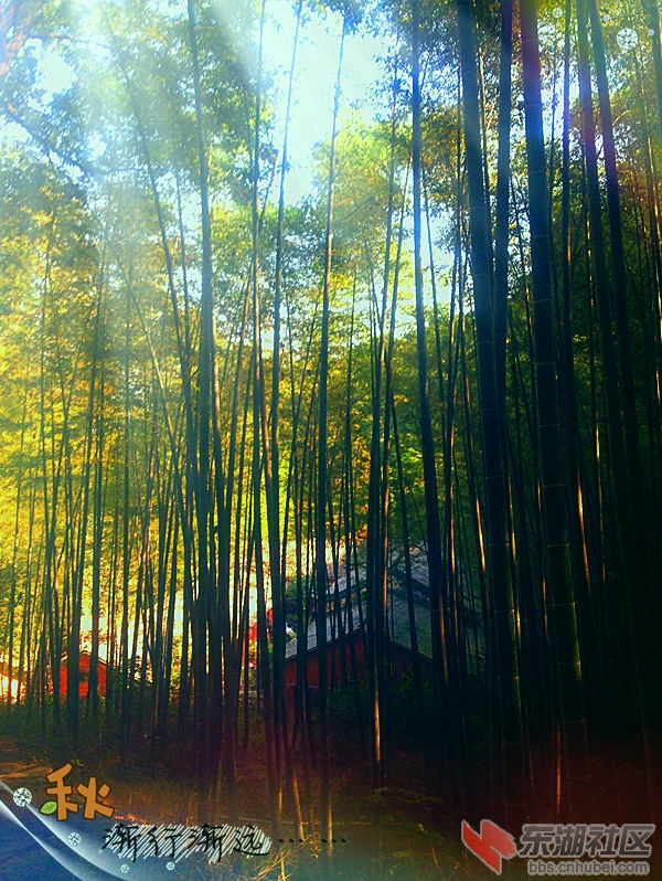 麻城五脑山照片 040_副本.jpg
