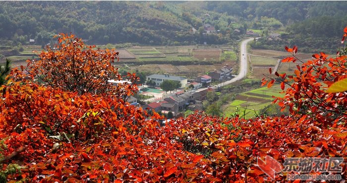 青林寨2.jpg