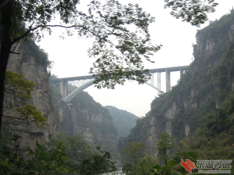 DSCN4290.jpg