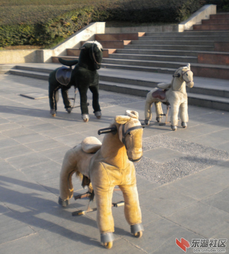 DSCN4016_副本.jpg