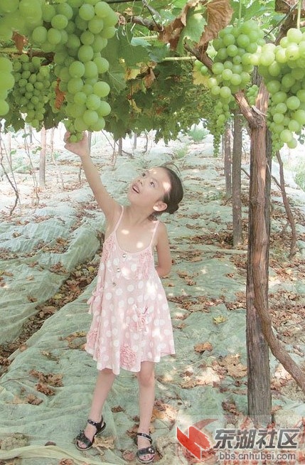 QQ截图20121105160726.jpg