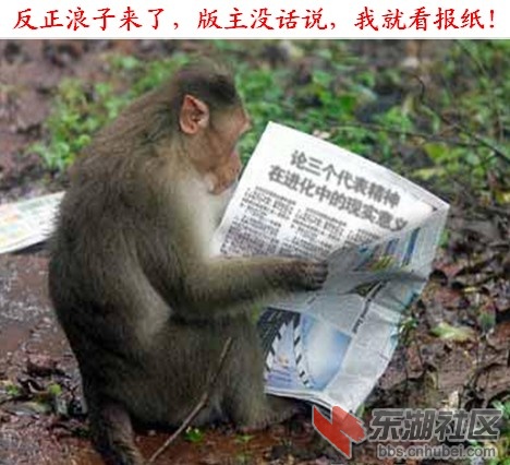 报道.jpg