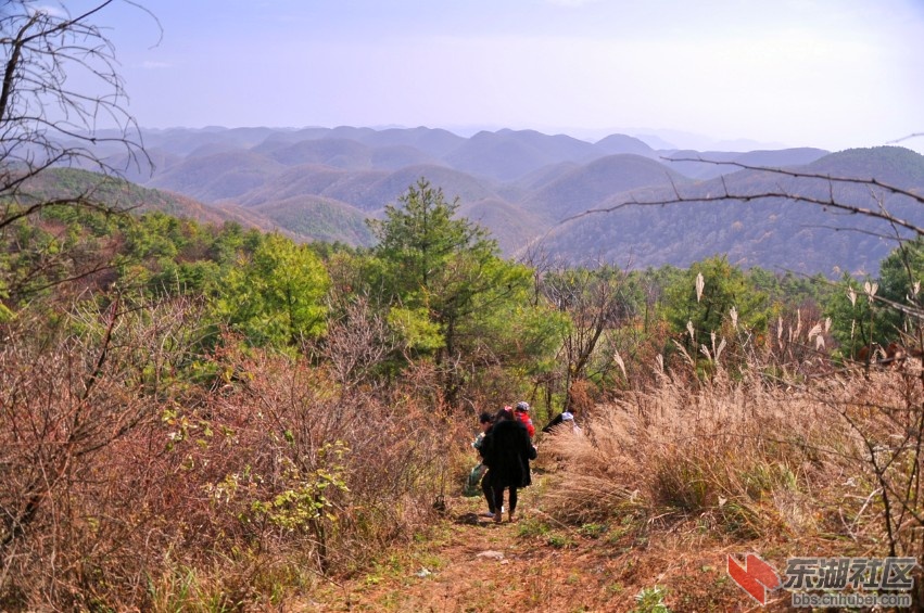 DSC_0228_conew1.jpg