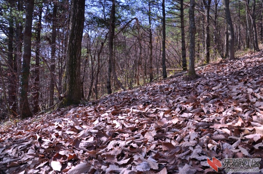 DSC_0144_conew1.jpg