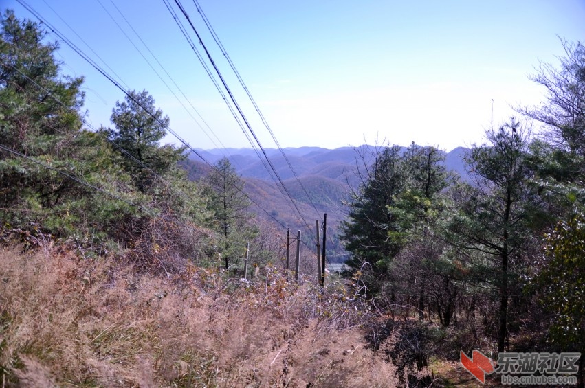 DSC_0151_conew1.jpg