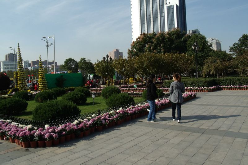 GEDC5776.JPG