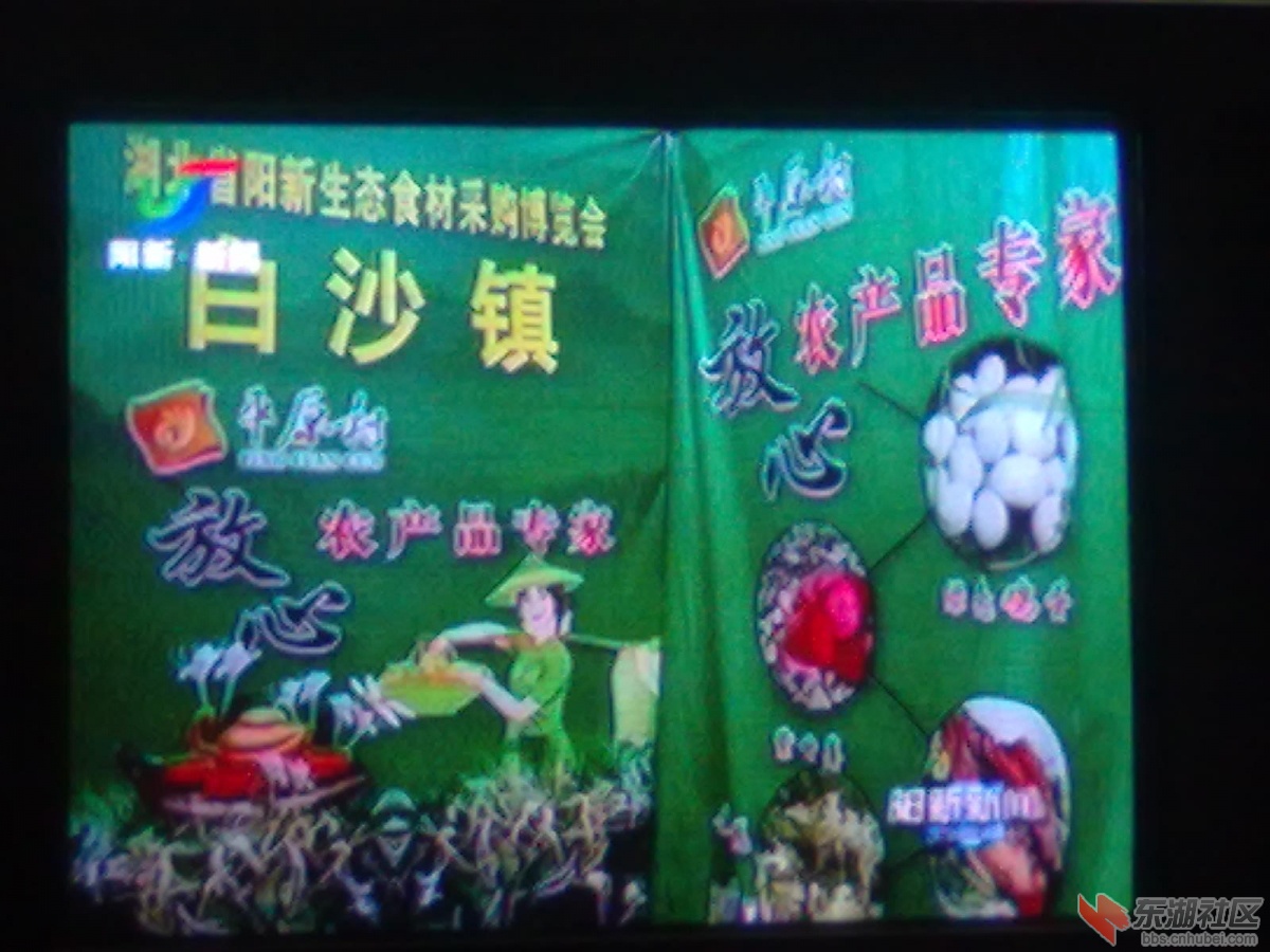 照片 018.jpg