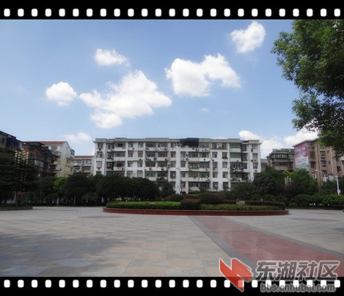 白11.jpg