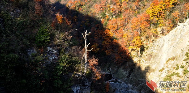 DSC_0028-1.jpg